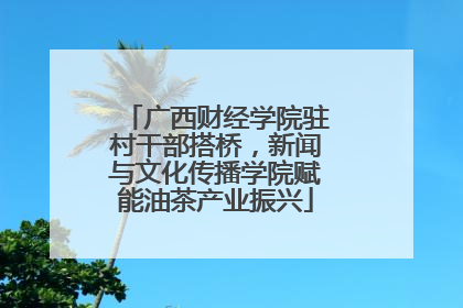 广西财经学院驻村干部搭桥，新闻与文化传播学院赋能油茶产业振兴